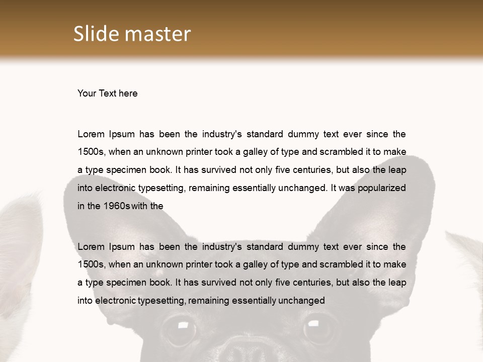 Indoors Pedigreed Studio PowerPoint Template