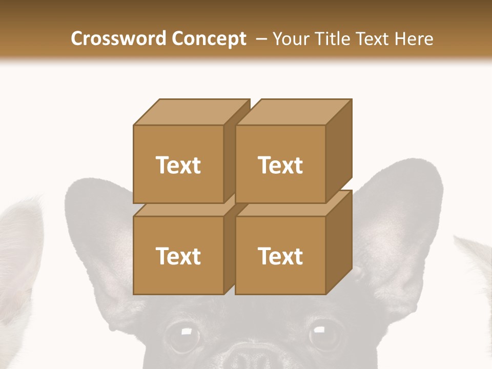 Indoors Pedigreed Studio PowerPoint Template