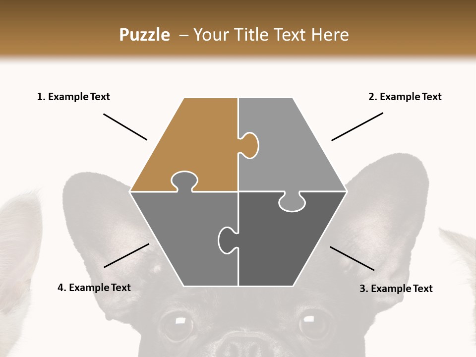 Indoors Pedigreed Studio PowerPoint Template