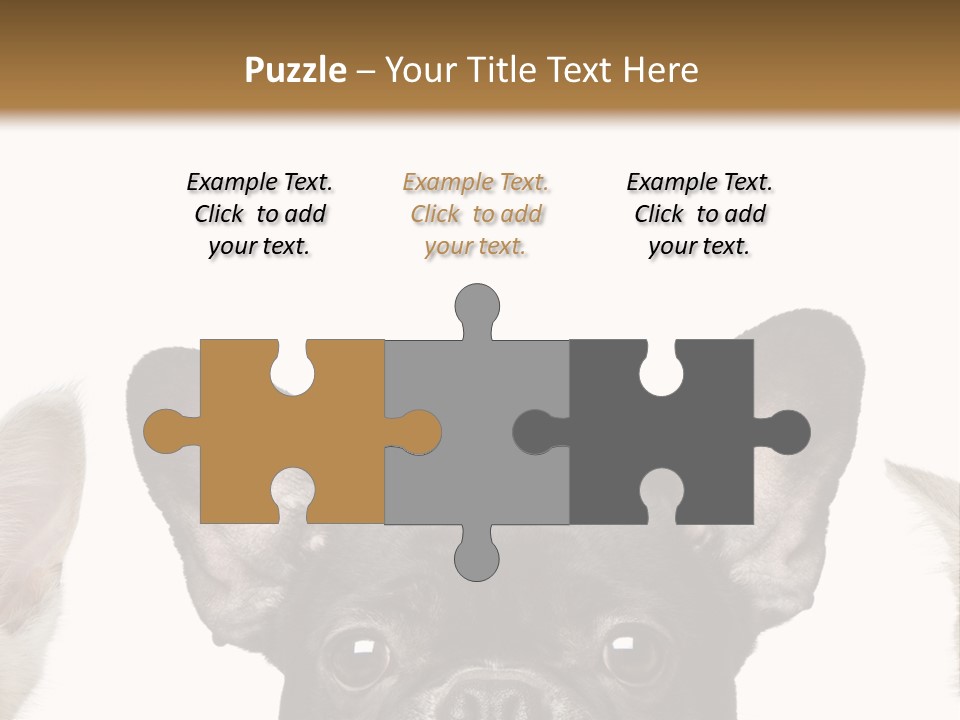 Indoors Pedigreed Studio PowerPoint Template