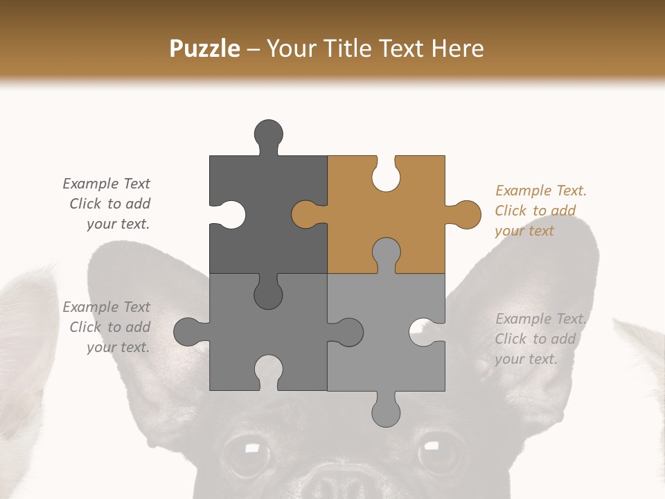 Indoors Pedigreed Studio PowerPoint Template