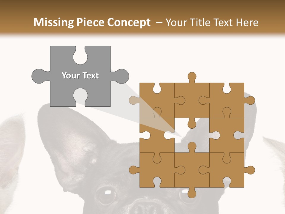 Indoors Pedigreed Studio PowerPoint Template