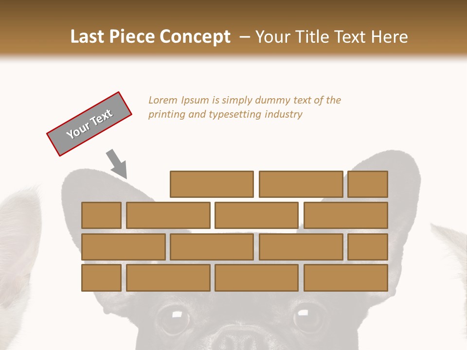 Indoors Pedigreed Studio PowerPoint Template