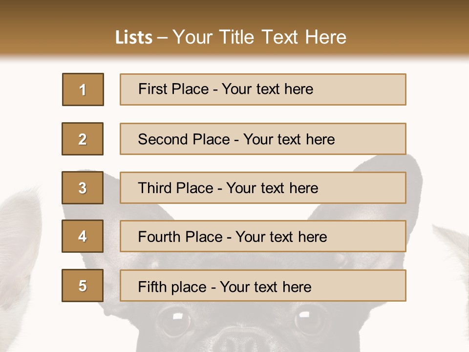 Indoors Pedigreed Studio PowerPoint Template