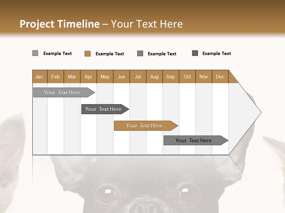 Indoors Pedigreed Studio PowerPoint Template