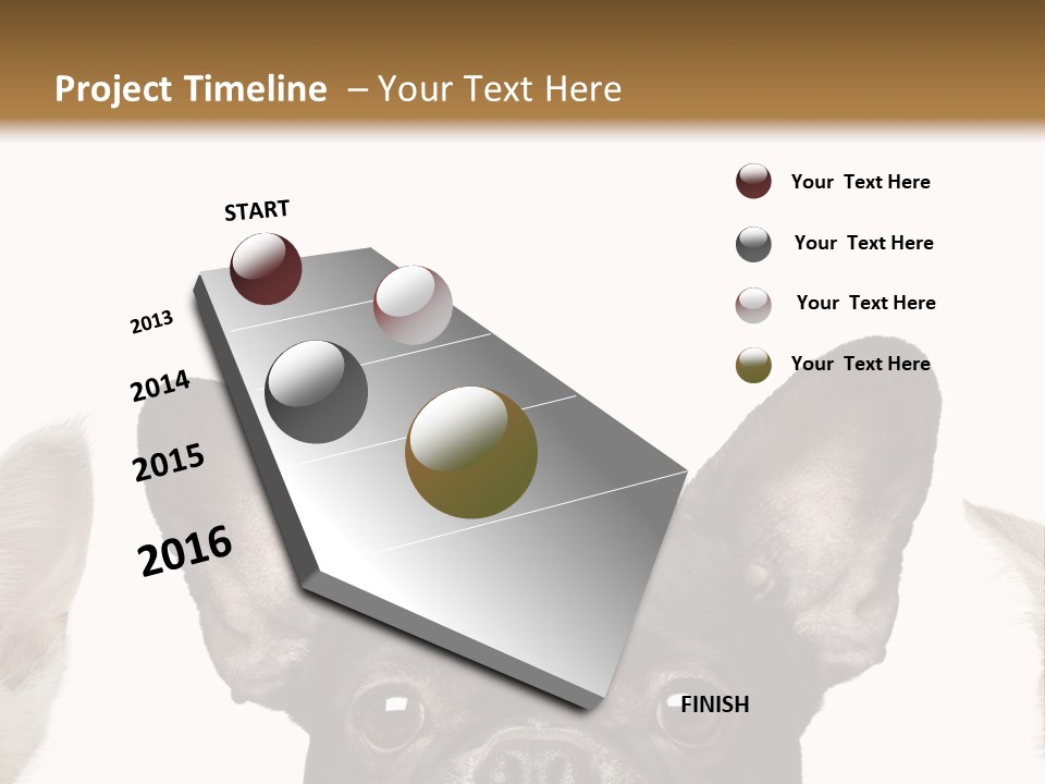 Indoors Pedigreed Studio PowerPoint Template