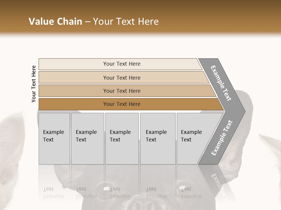 Indoors Pedigreed Studio PowerPoint Template