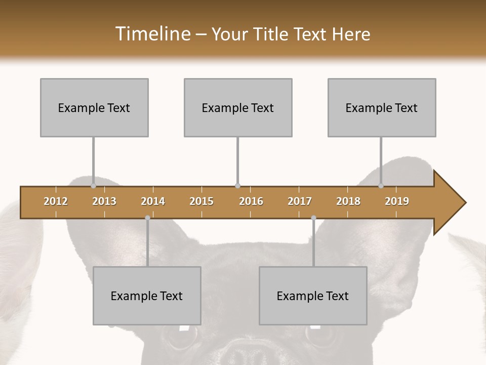 Indoors Pedigreed Studio PowerPoint Template