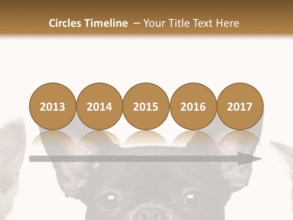 Indoors Pedigreed Studio PowerPoint Template