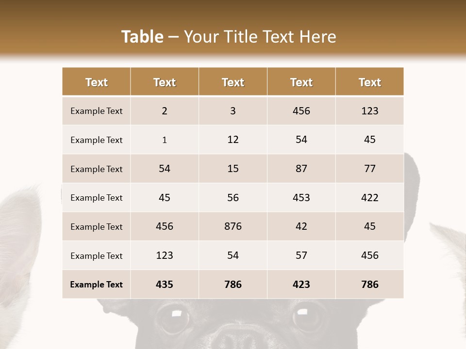 Indoors Pedigreed Studio PowerPoint Template