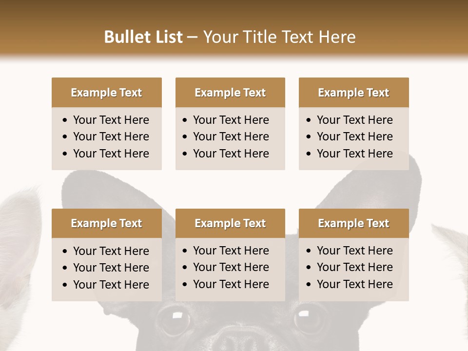 Indoors Pedigreed Studio PowerPoint Template