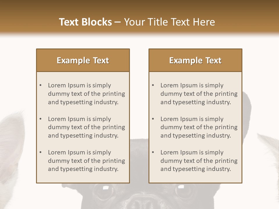 Indoors Pedigreed Studio PowerPoint Template