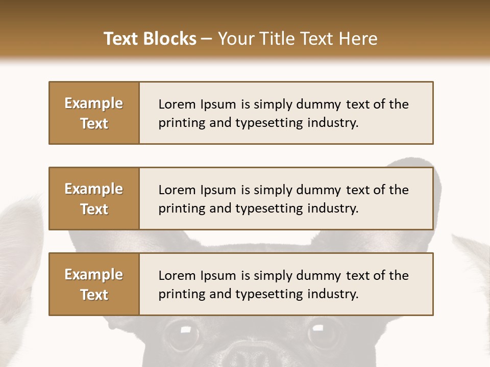 Indoors Pedigreed Studio PowerPoint Template