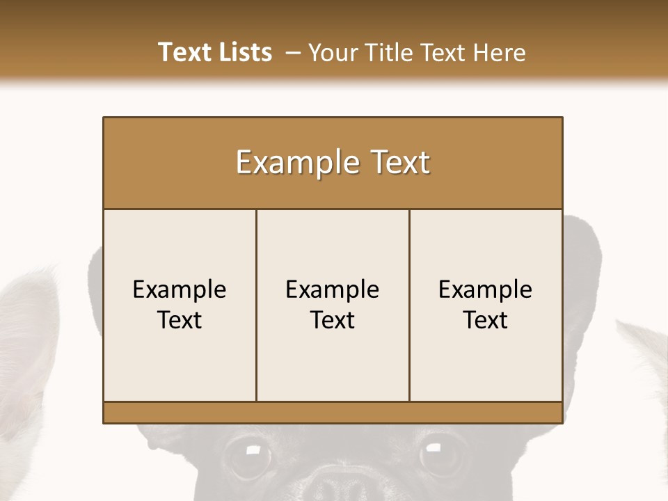 Indoors Pedigreed Studio PowerPoint Template