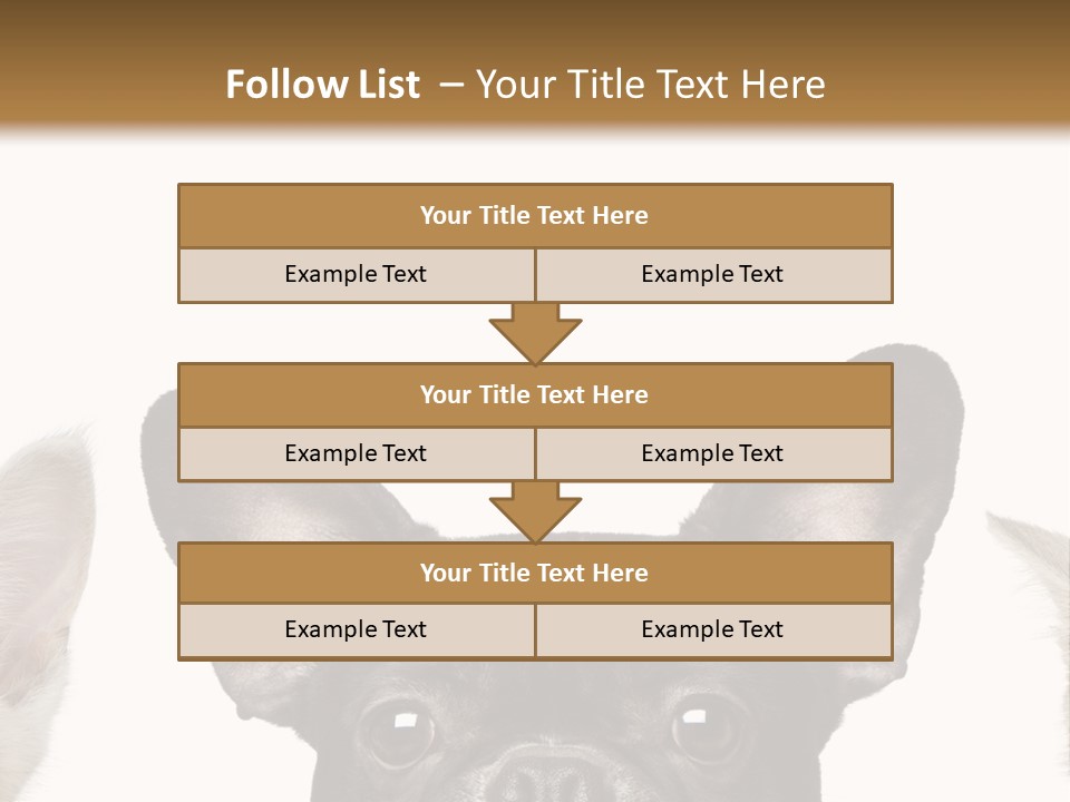 Indoors Pedigreed Studio PowerPoint Template