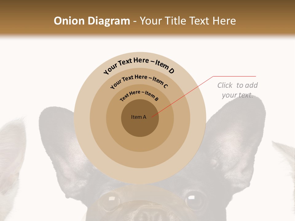 Indoors Pedigreed Studio PowerPoint Template