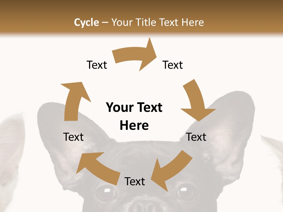 Indoors Pedigreed Studio PowerPoint Template