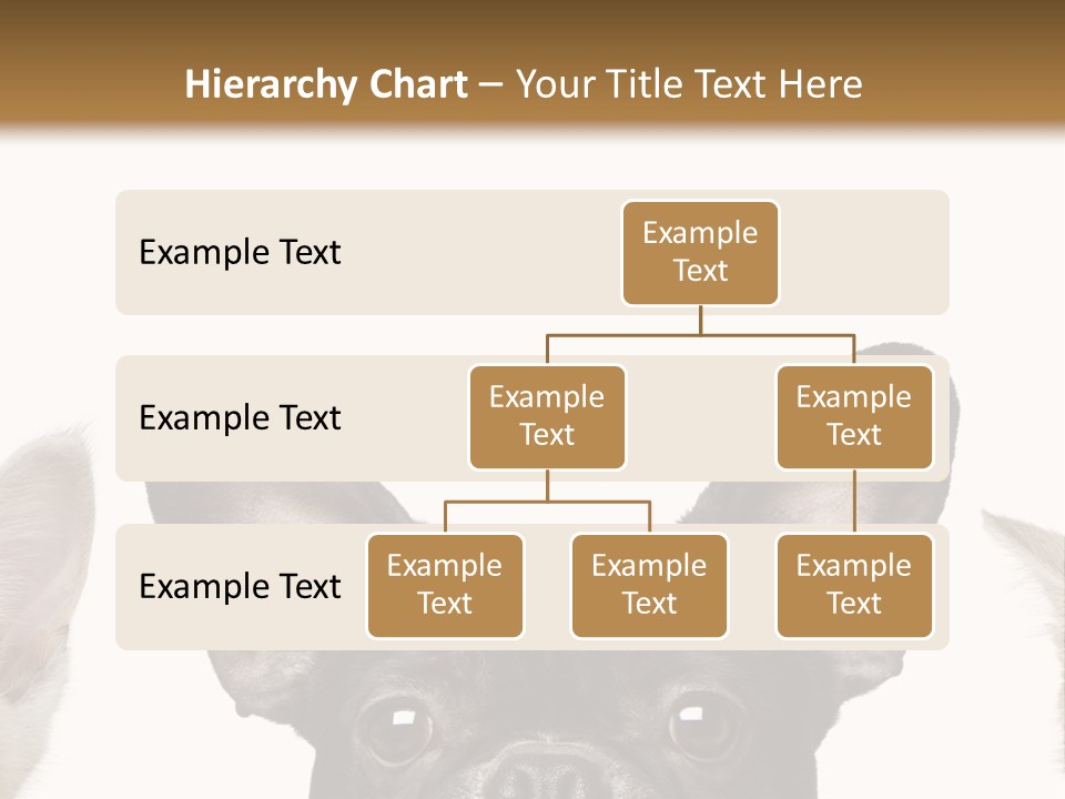 Indoors Pedigreed Studio PowerPoint Template