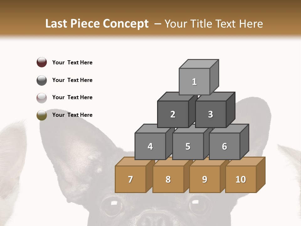 Indoors Pedigreed Studio PowerPoint Template