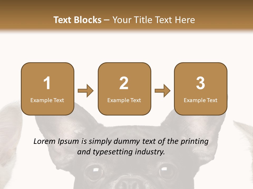 Indoors Pedigreed Studio PowerPoint Template