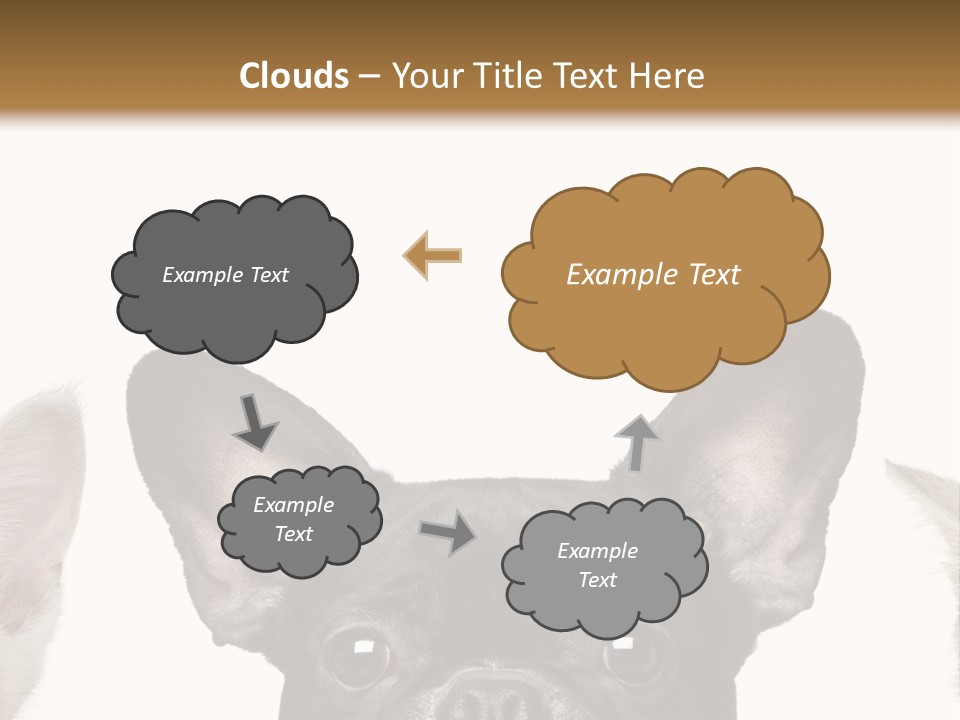 Indoors Pedigreed Studio PowerPoint Template