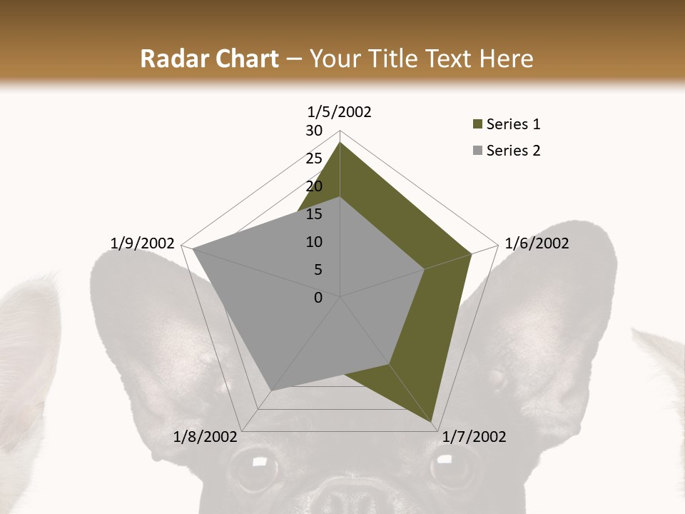Indoors Pedigreed Studio PowerPoint Template