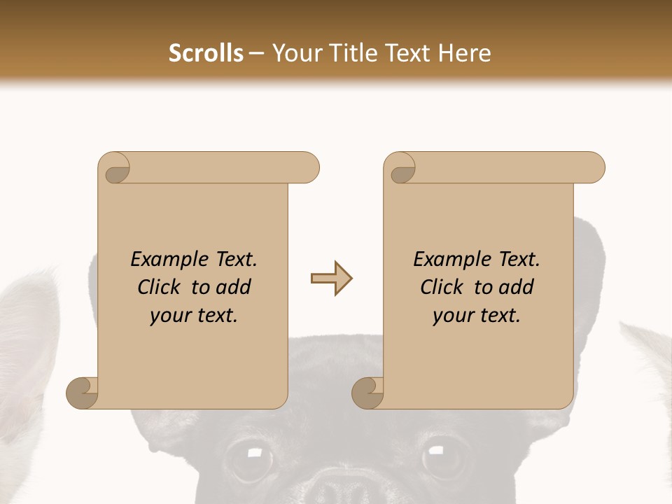 Indoors Pedigreed Studio PowerPoint Template
