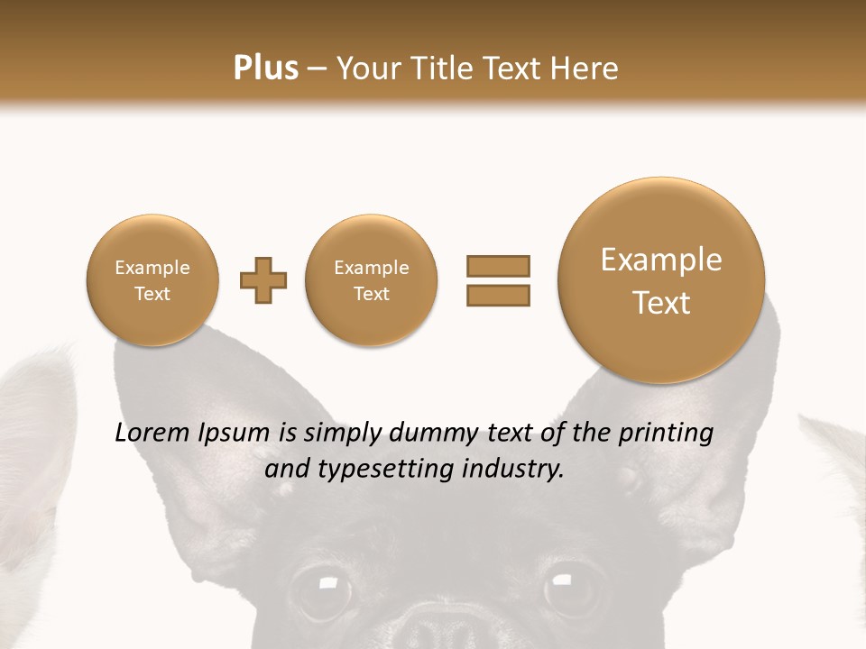 Indoors Pedigreed Studio PowerPoint Template