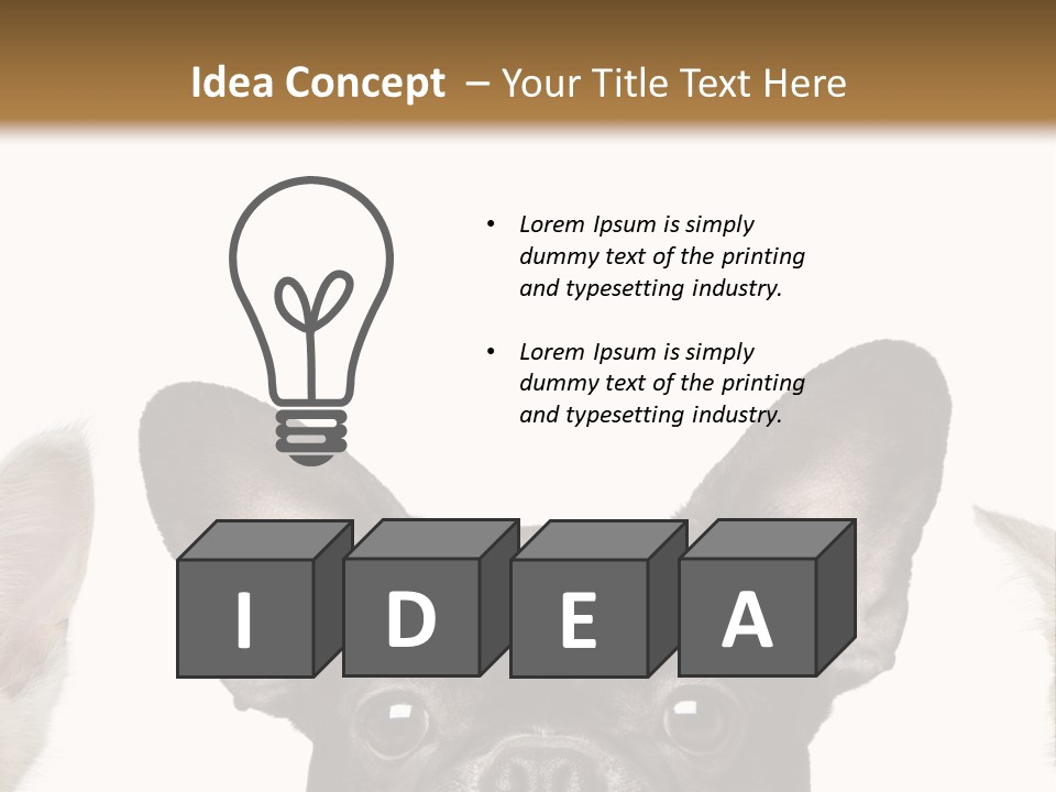 Indoors Pedigreed Studio PowerPoint Template
