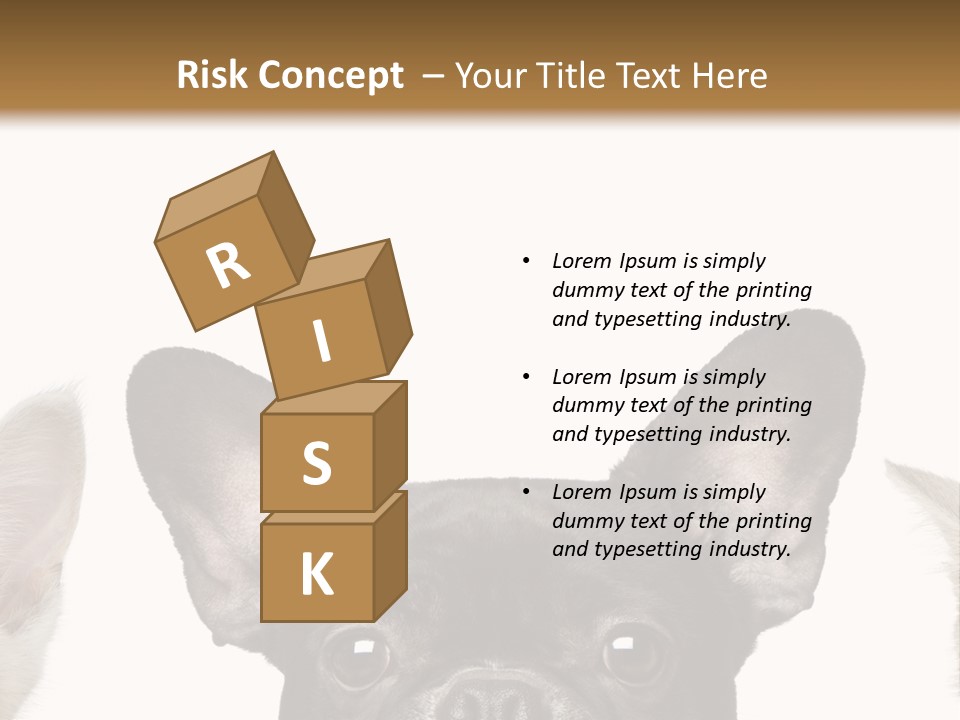 Indoors Pedigreed Studio PowerPoint Template