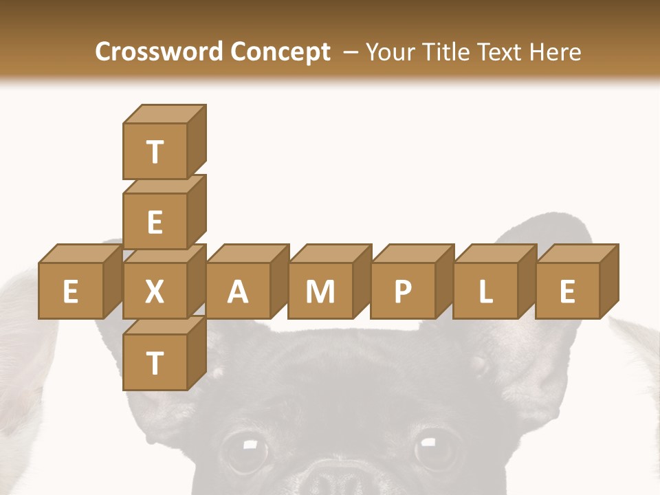 Indoors Pedigreed Studio PowerPoint Template