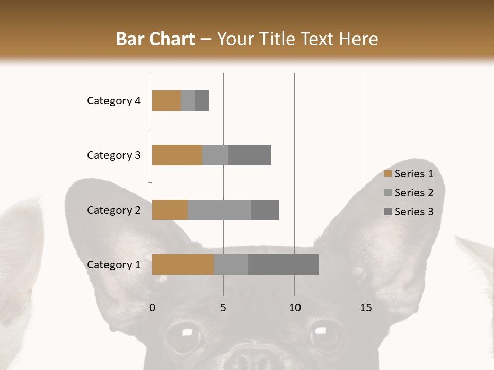 Indoors Pedigreed Studio PowerPoint Template