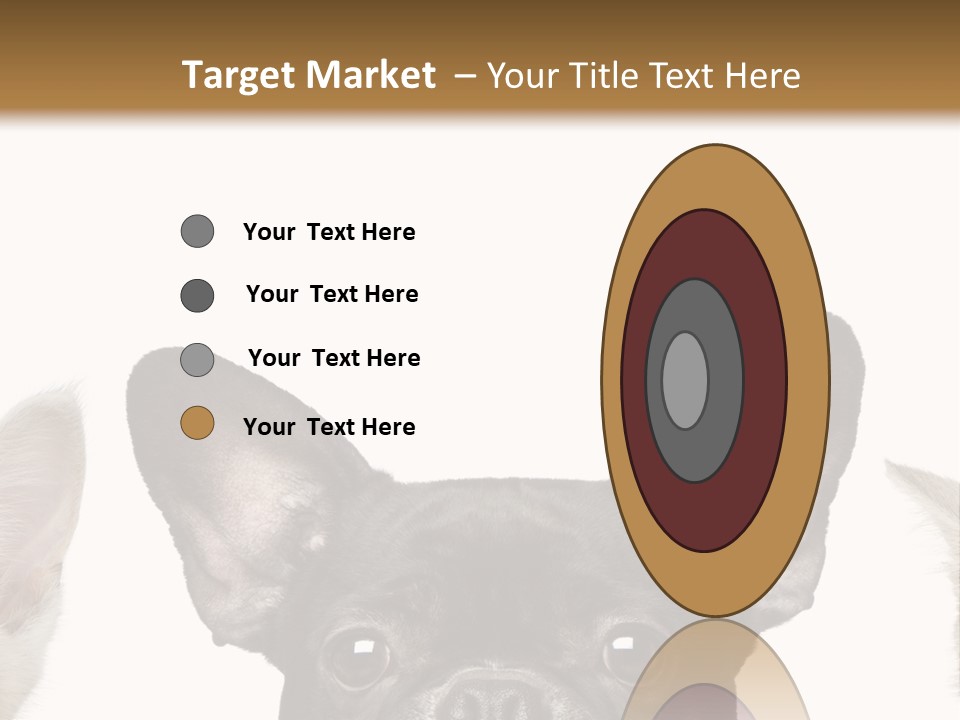 Indoors Pedigreed Studio PowerPoint Template