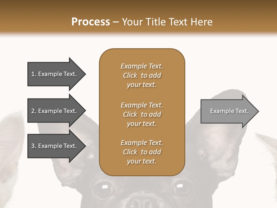 Indoors Pedigreed Studio PowerPoint Template