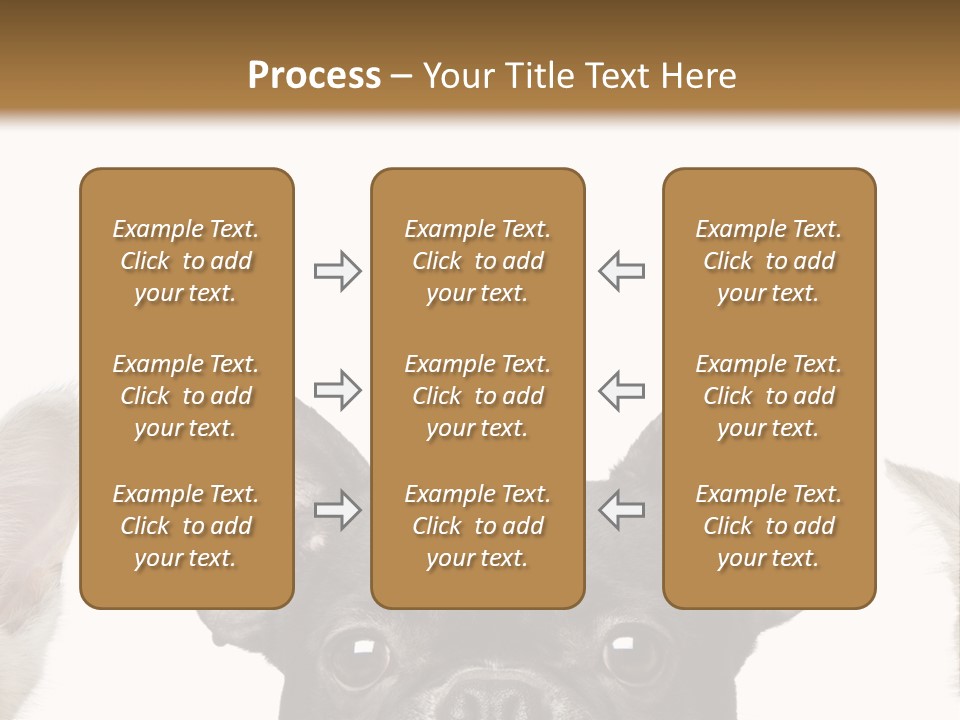 Indoors Pedigreed Studio PowerPoint Template