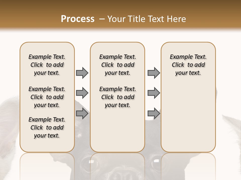 Indoors Pedigreed Studio PowerPoint Template