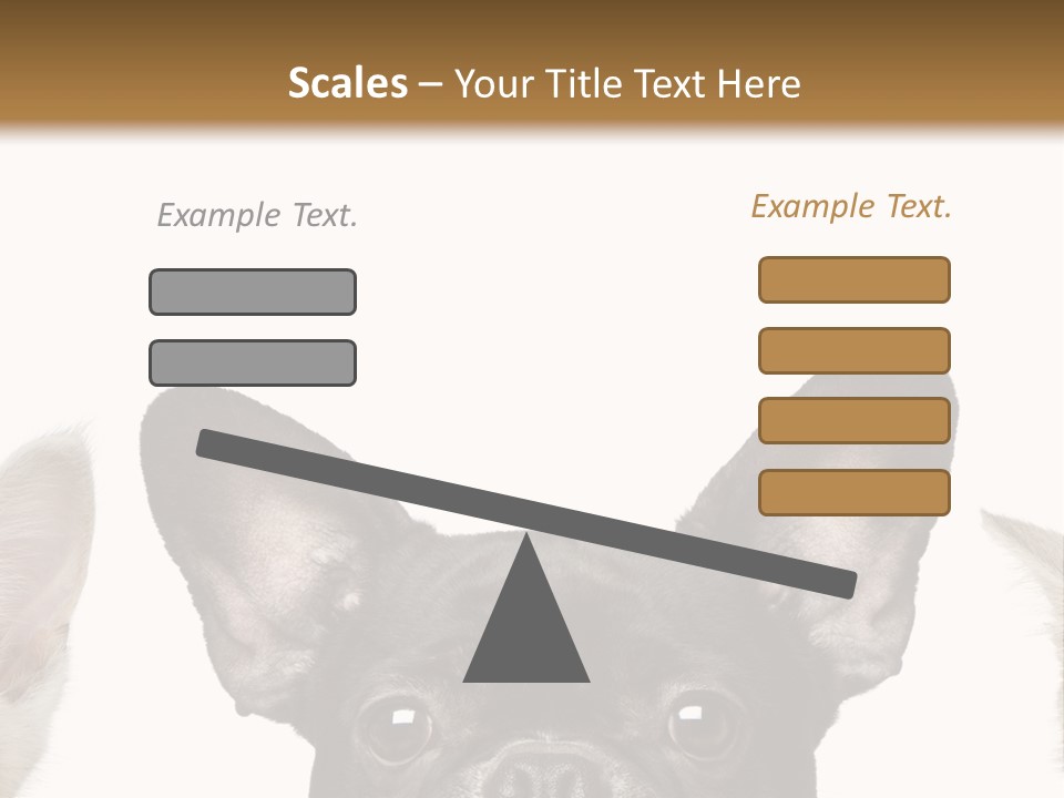 Indoors Pedigreed Studio PowerPoint Template