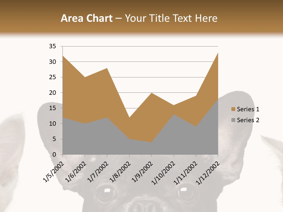 Indoors Pedigreed Studio PowerPoint Template