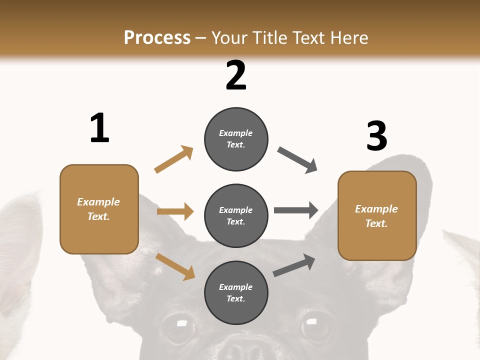 Indoors Pedigreed Studio PowerPoint Template