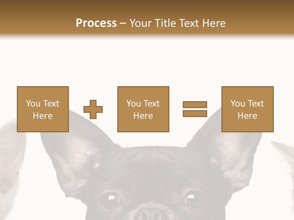 Indoors Pedigreed Studio PowerPoint Template
