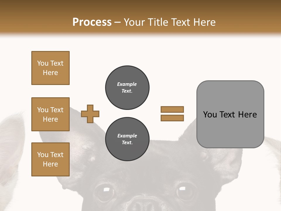 Indoors Pedigreed Studio PowerPoint Template