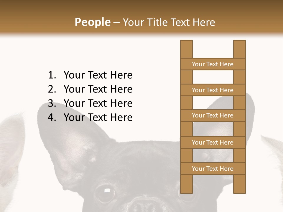 Indoors Pedigreed Studio PowerPoint Template