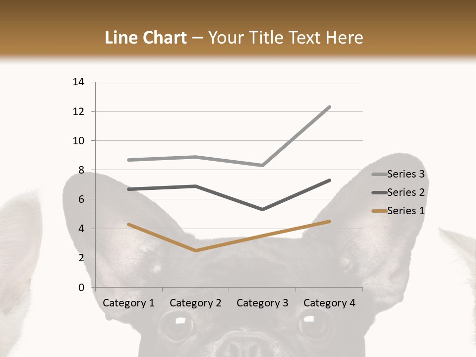 Indoors Pedigreed Studio PowerPoint Template