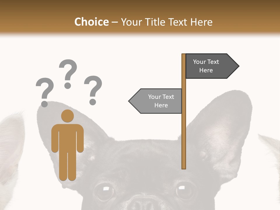 Indoors Pedigreed Studio PowerPoint Template