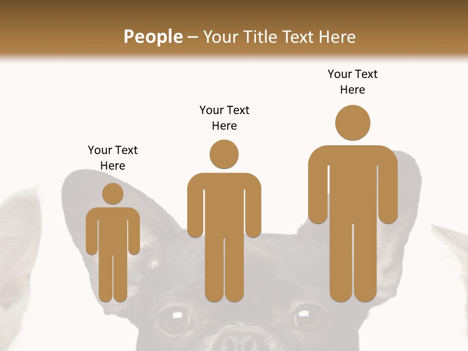 Indoors Pedigreed Studio PowerPoint Template