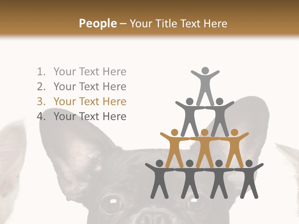 Indoors Pedigreed Studio PowerPoint Template