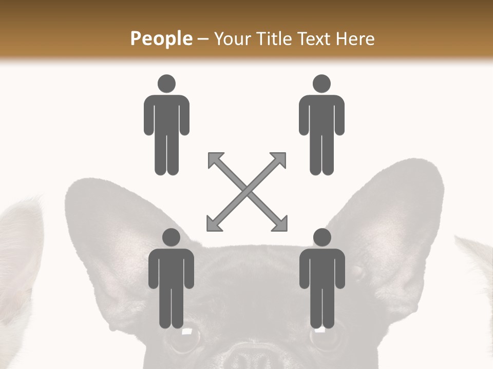 Indoors Pedigreed Studio PowerPoint Template