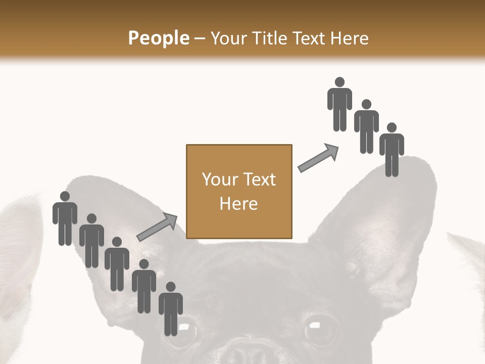 Indoors Pedigreed Studio PowerPoint Template