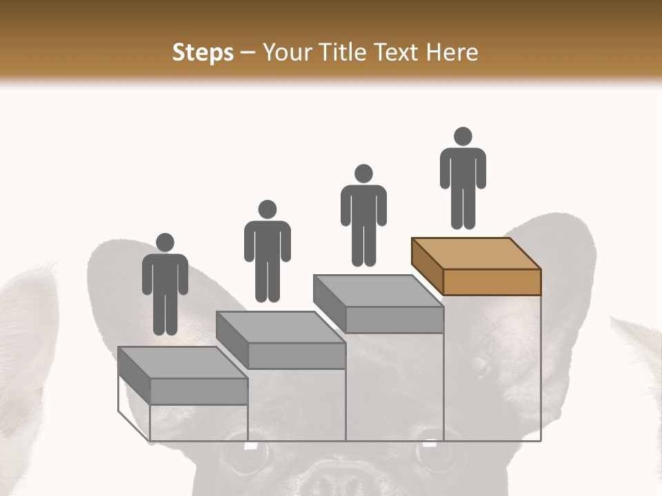 Indoors Pedigreed Studio PowerPoint Template