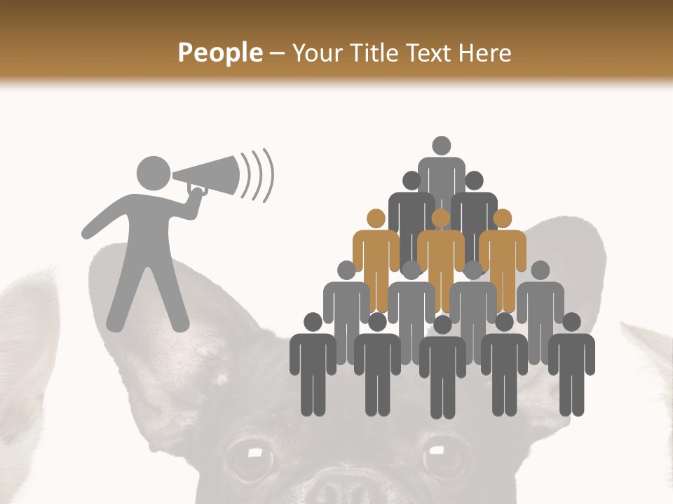 Indoors Pedigreed Studio PowerPoint Template